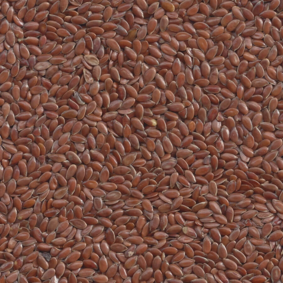 Organic Javas Flax Seeds 100g