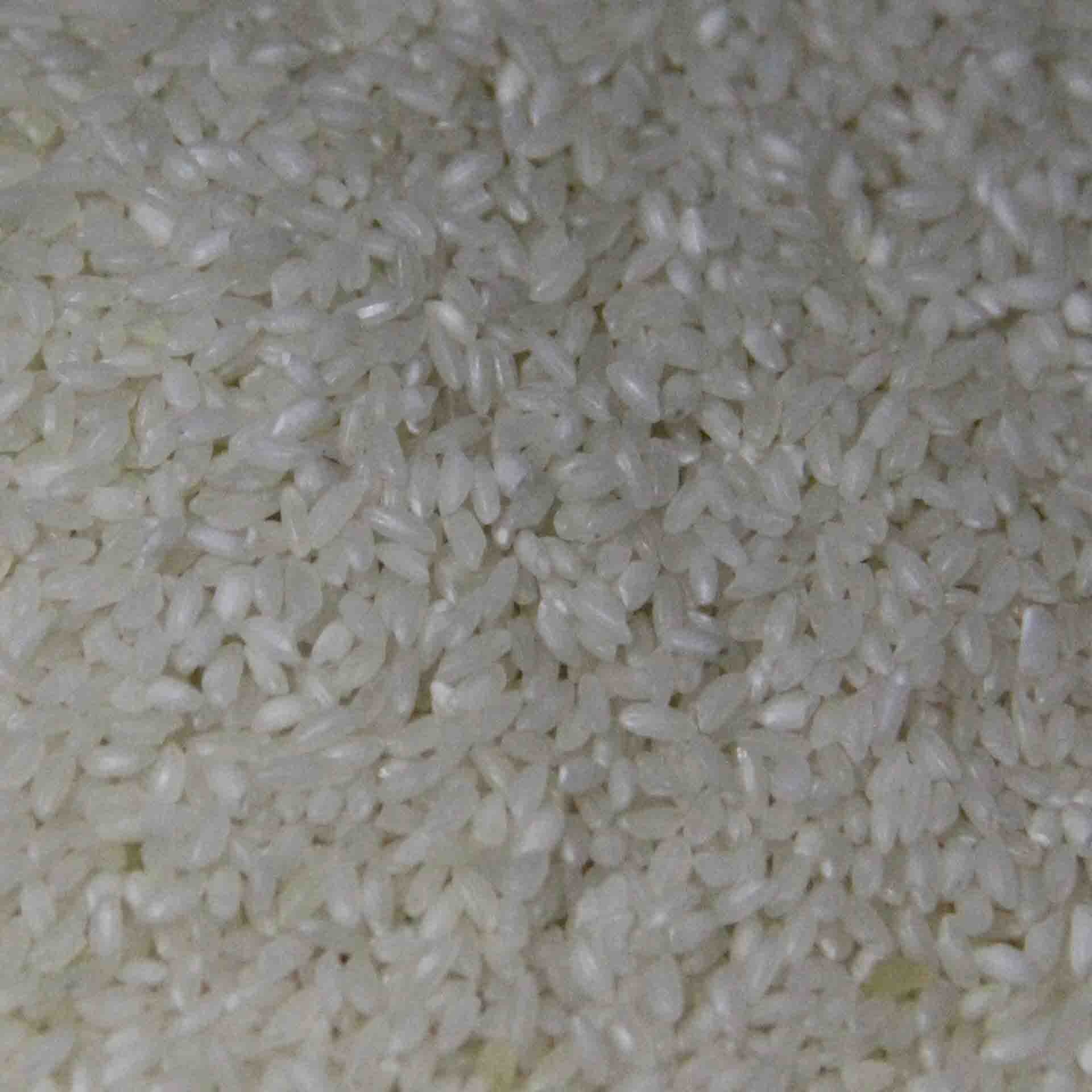 Organic Hand Pounded Ambe Mohar Rice 1kg