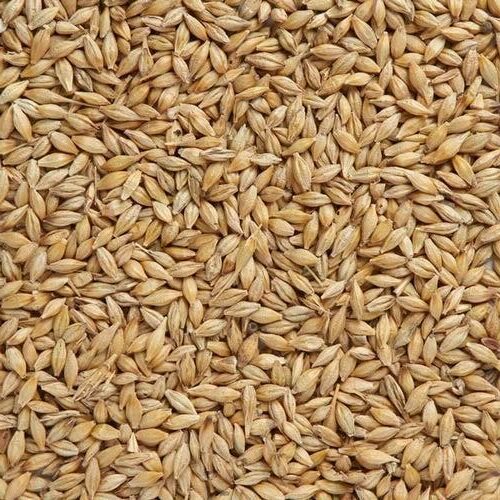 Organic Jau Barley (Dehusked) 500g