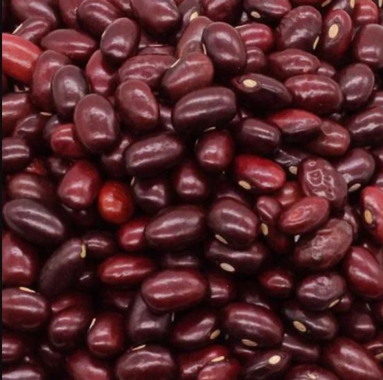 Organic Rajma Red Kidney Beans 250g