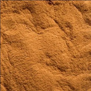 Organic Cinnamon Powder 100g