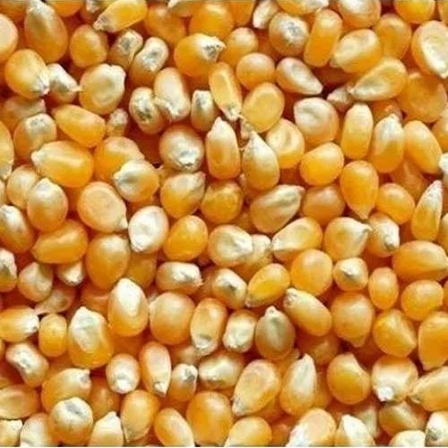 Organic Maize Corn Maka 1kg